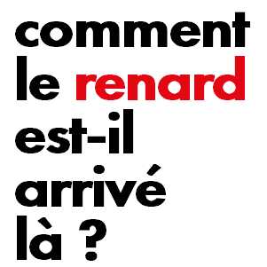 comment le renard est-il arrivé là ?